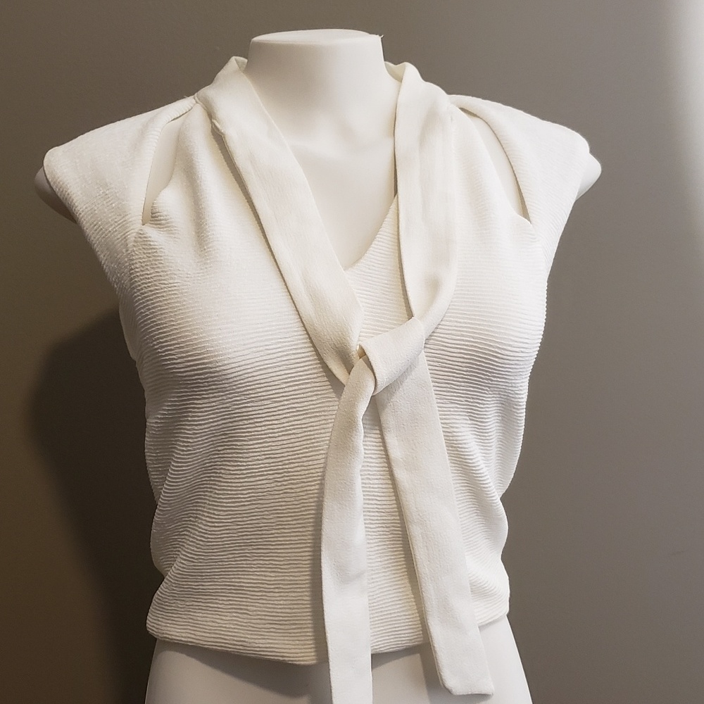 Zara Collection Crop top
